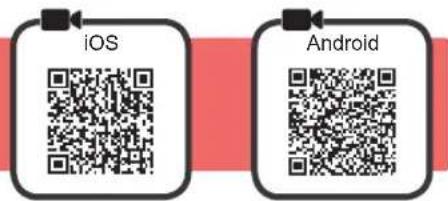 iOS Android