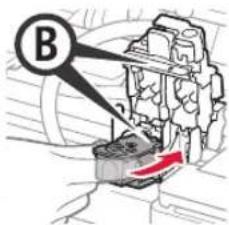 B
