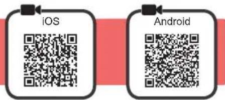 iOS Android