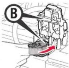 B