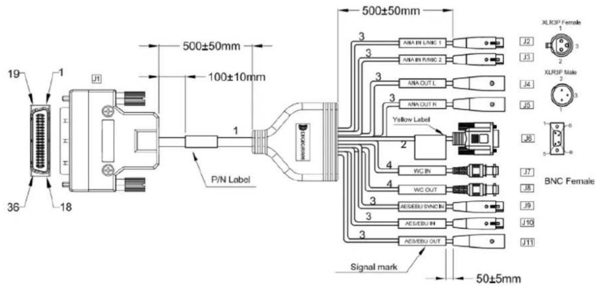19 18 36 1 J1 500±50mm 100±10mm P/N Label 1 500±50mm 3 ANA IN L/MIC 1 ANA IN FMIC 2 ANA OUT L ANA OUT R Yellow Label 2 WC IN WC OUT AES/EBU SYNC IN AES/EBU IN AES/EBU OUT Signal mark 50±5mm XLR3P Female 1 J2 J3 J4 J5 J6 J7 J8 J9 J10 J11 XLR3P Male 2 BNC Female