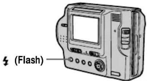 (Flash)