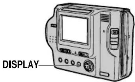 DISPLAY