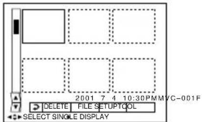 2001 7 4 10:30 PMMVC-001F DELETE FILE SETUPTOOL SELECT SINGLE DISPLAY