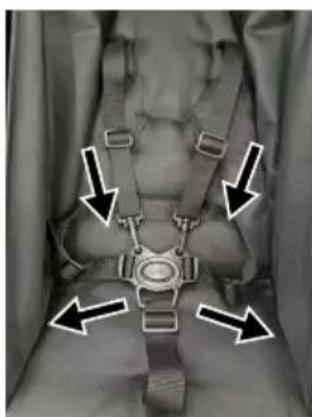 Beemoo Activity Twin - TO USE HARNESS - 1