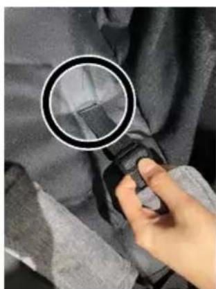 Beemoo Activity Twin - TO USE HARNESS - 3