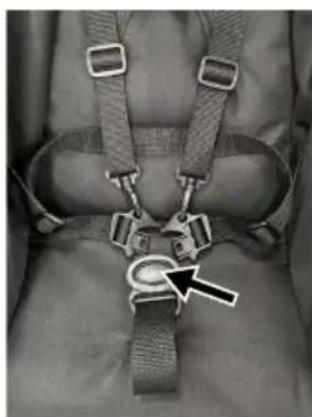 Beemoo Activity Twin - TO USE HARNESS - 2