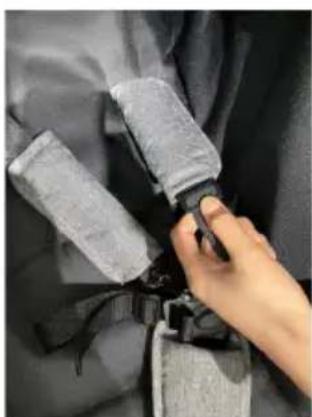 Beemoo Activity Twin - TO USE HARNESS - 4