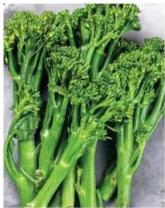 Close-up of fresh green broccoli stalks (no text or symbols visible)