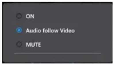 ON Audio follow Video MUTE