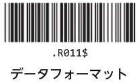 .R011$ データフォーマット
