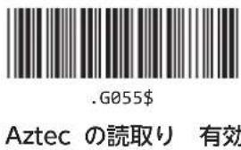 .G055$ Aztec の読取り 有効