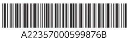 A22357000599876B