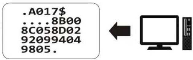 .A017$ ...8B00 8C058D02 92099404 9805.