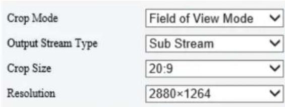 Crop Mode Field of View Mode Output Stream Type Sub Stream Crop Size 20:9 Resolution 2880×1264