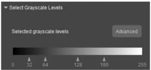 Select Grayscale Levels Selected grayscale levels Advanced 0 32 64 128 180 255