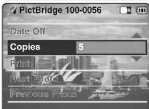 PictBridge 100-0056 Date Off Copies 5 Print Next Plot Previous Plot