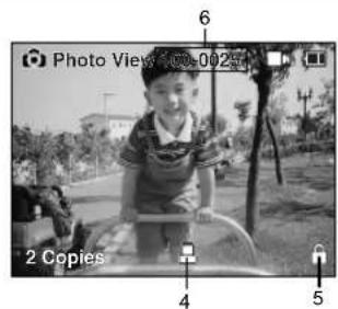 Photo Views 100-002 6 2 Copies 4 5