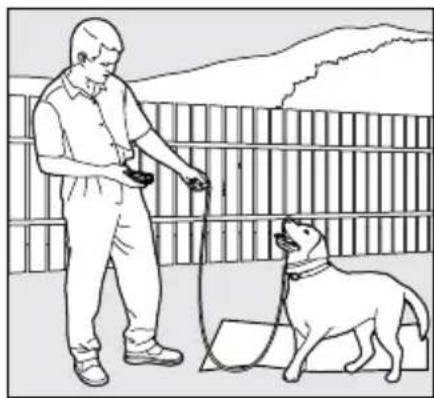 PETSAFE PDT00-14678 - The "Stay" Command - 2