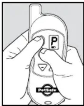 P PetSafe