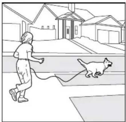 PETSAFE PDT00-14678 - CAUTION - 1