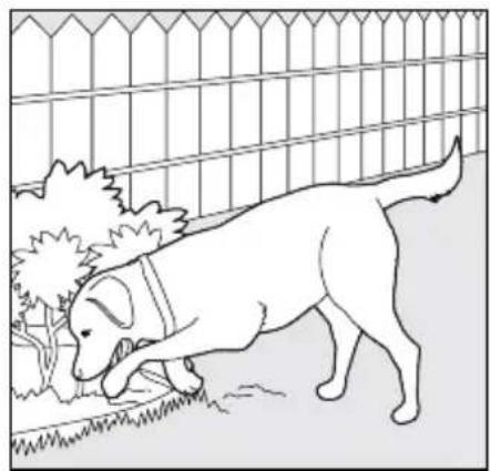 PETSAFE PDT00-14678 - Digging - 2