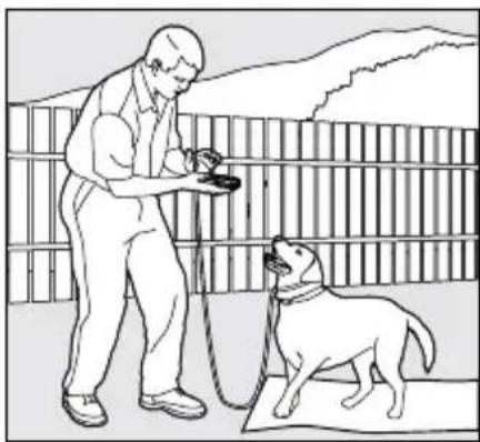PETSAFE PDT00-14678 - The "Stay" Command - 3