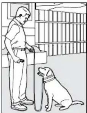 PETSAFE PDT00-14678 - Eliminating Unwanted Behavior Jumping Up - 2