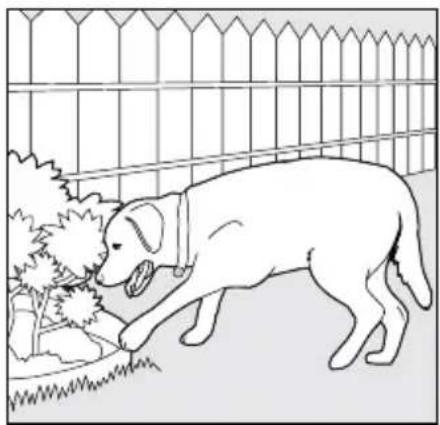 PETSAFE PDT00-14678 - Digging - 1