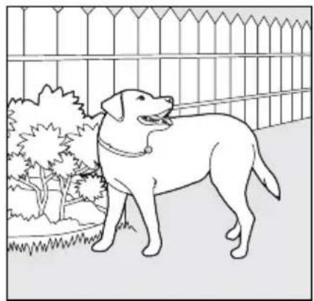 PETSAFE PDT00-14678 - Digging - 3