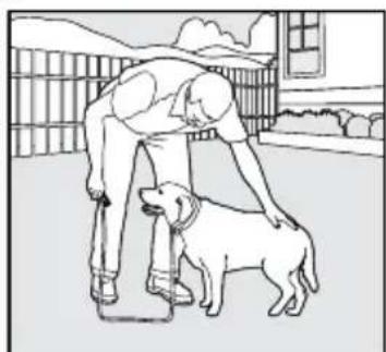 PETSAFE PDT00-14678 - The "Sit" Command - 2