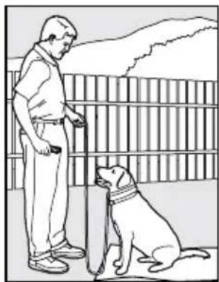 PETSAFE PDT00-14678 - The "Stay" Command - 1