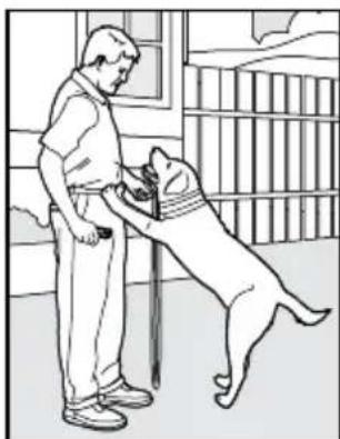 PETSAFE PDT00-14678 - Eliminating Unwanted Behavior Jumping Up - 1