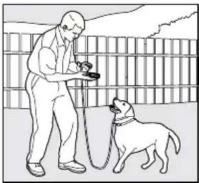 PETSAFE PDT00-14678 - The "Recall" Command - 2