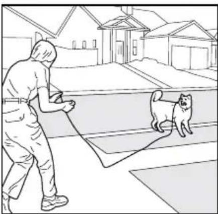 PETSAFE PDT00-14678 - CAUTION - 3