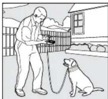 PETSAFE PDT00-14678 - The "Sit" Command - 3