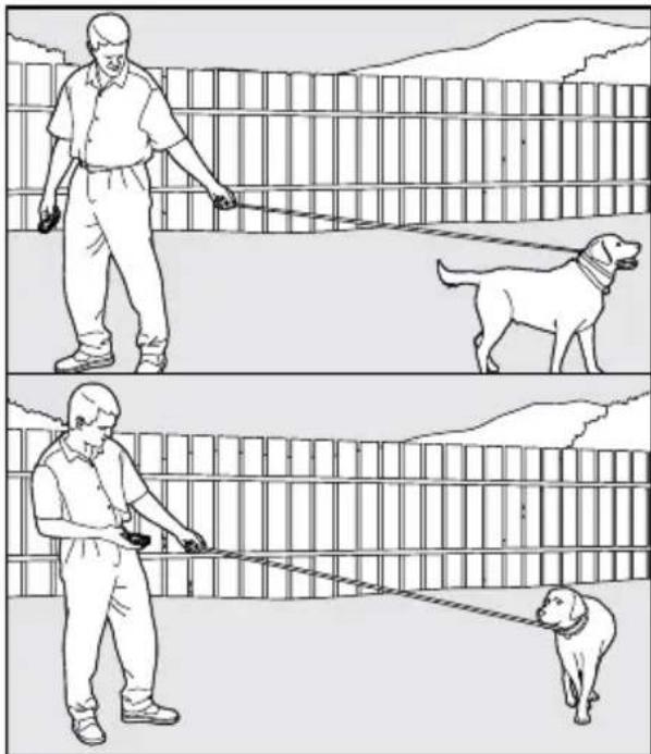 PETSAFE PDT00-14678 - The "Recall" Command - 1