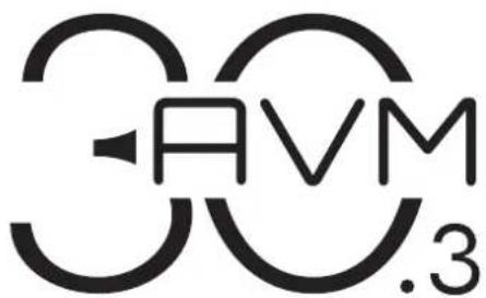 300.AVM .3