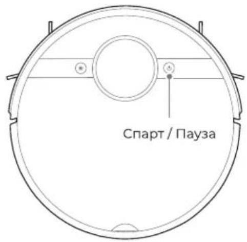 Спарт / Пауза