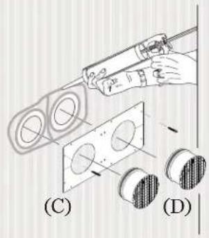 (C) (D)