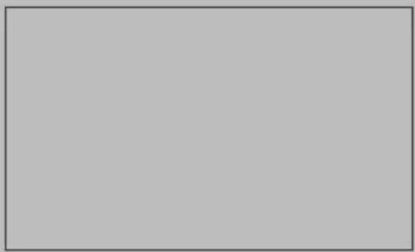 Blank gray rectangle with a thin border (no text, symbols, or markings)
