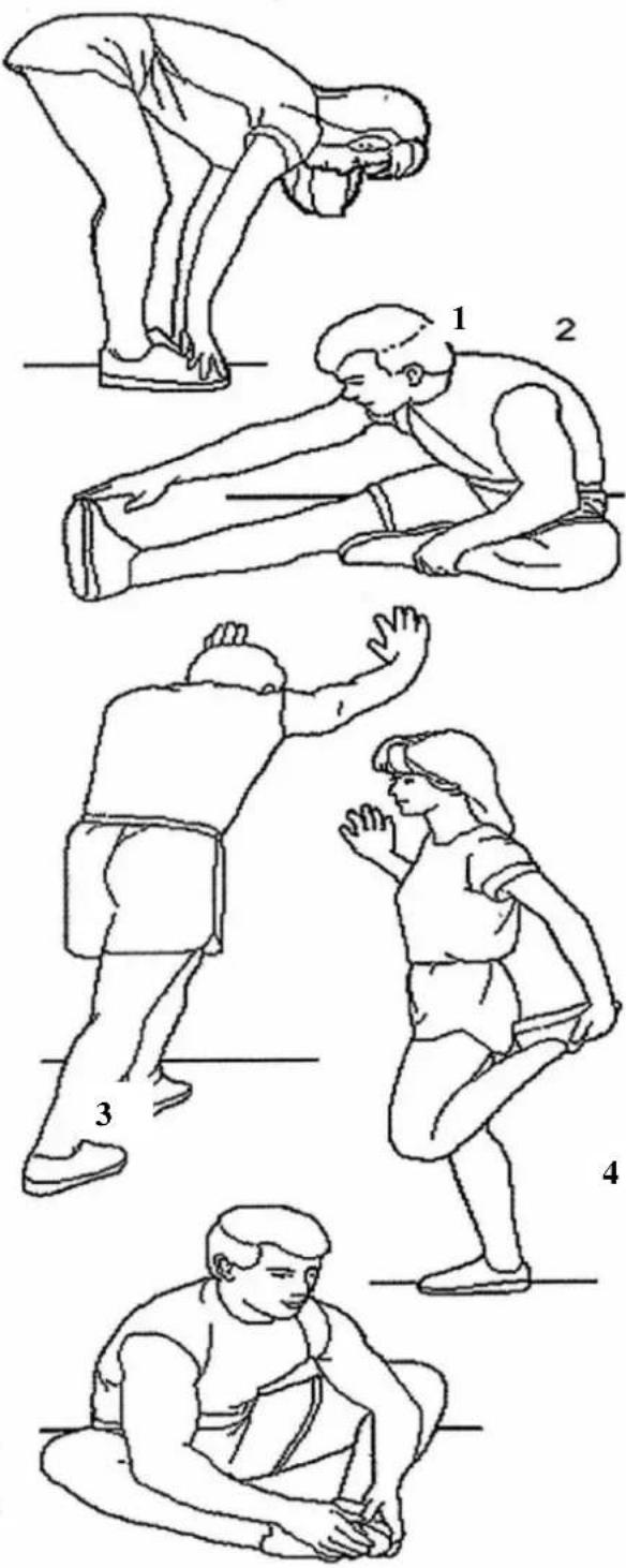 Illustration showing five sequential physical or ergonomic stretching exercises with numbered steps from start to end.