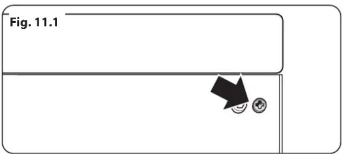 Fig. 11.1