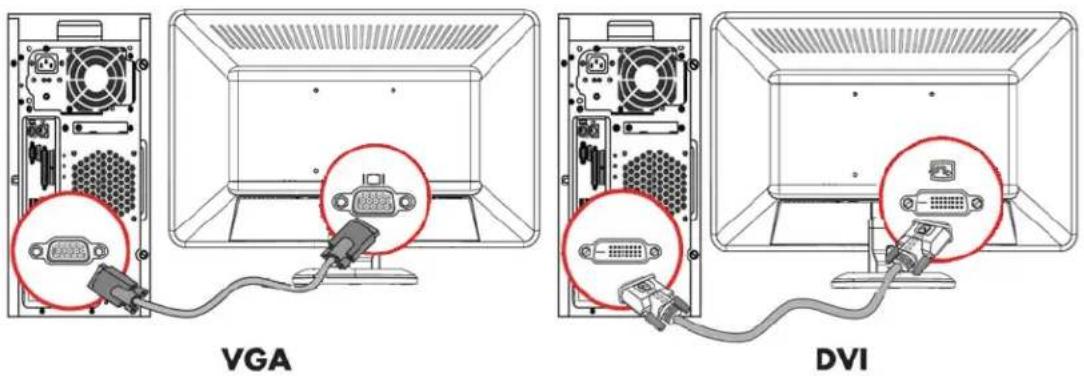 HP S2021 - 连接 DVI-D 电缆(特定型号配有) - 1