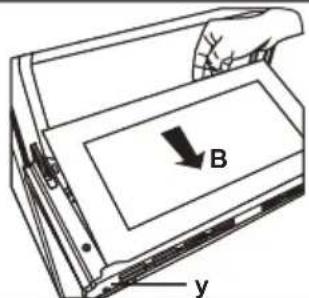 B y