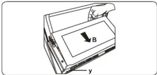 B y