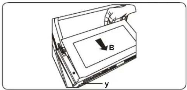 B y