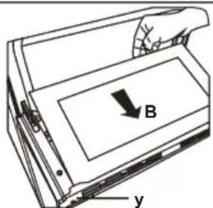 B y