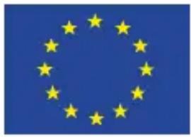 European Union flag with twelve yellow stars on a blue background (no text or symbols)