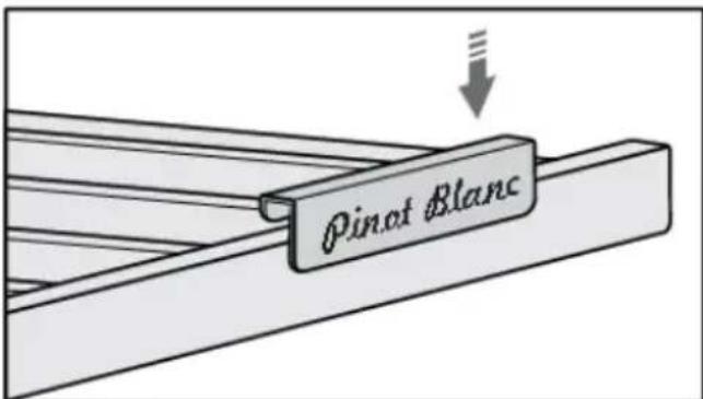 Pinot Blanc